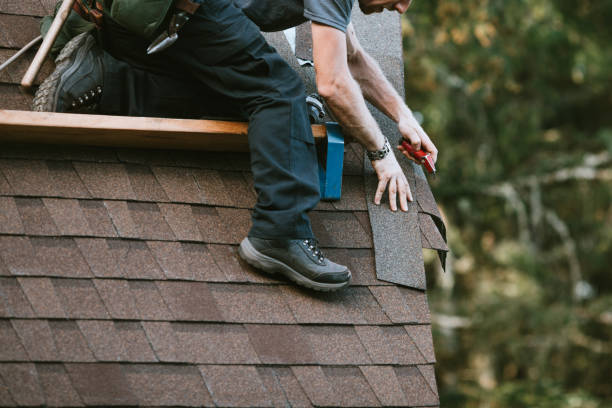 Best Roof Gutter Cleaning  in Belmond, IA